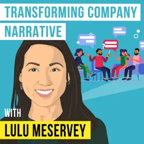 Lulu Meservey - Transforming Company Narrative artwork