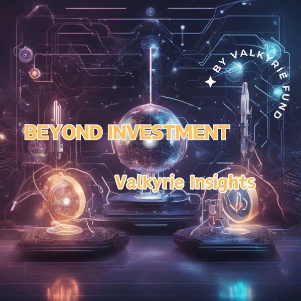 Beyond Investment - Valkyrie Insights