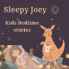 Sleepy Joey Stories - Leroy