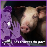 Les travers du porc : Plouvorn et ses 80.000 cochons