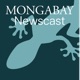 Mongabay Newscast