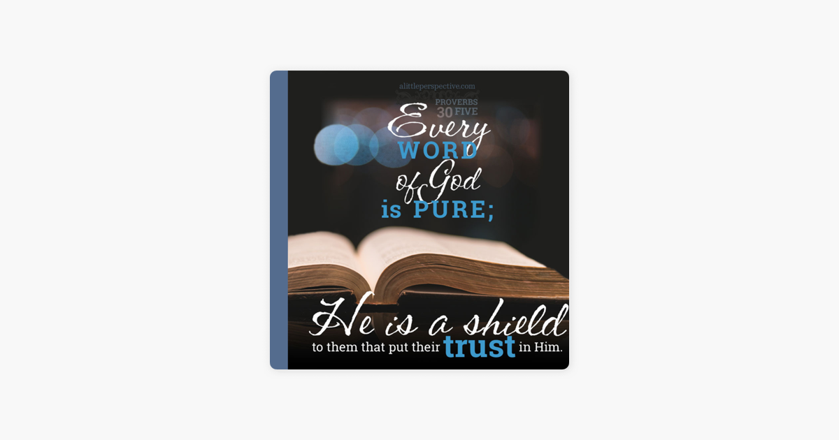 ‎Finding God's Wisdom: Every word of God is Pure on Apple Podcasts