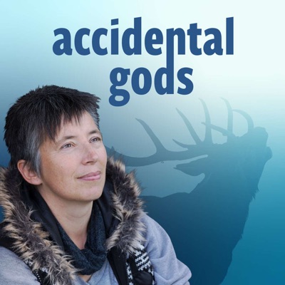 Accidental Gods Accidental Gods