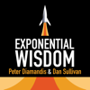 Exponential Wisdom - Dan Sullivan of Strategic Coach & Peter Diamandis of XPRIZE / Singularity University