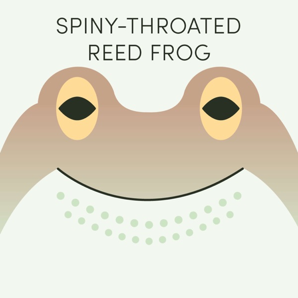 Spiny-Throated Reed Frog | Week of September 30th photo