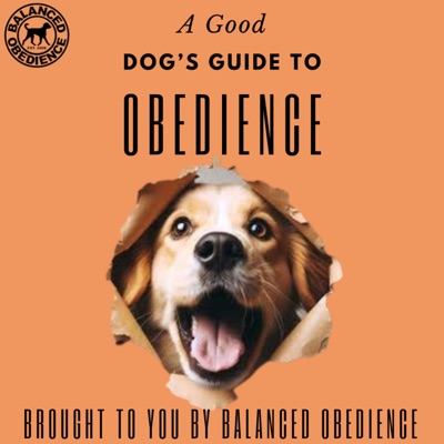 A Good Dog's Guide to Obedience A Good Dog's Guide to Obedience