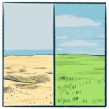 Sand vs. Grass: an earthy debate
