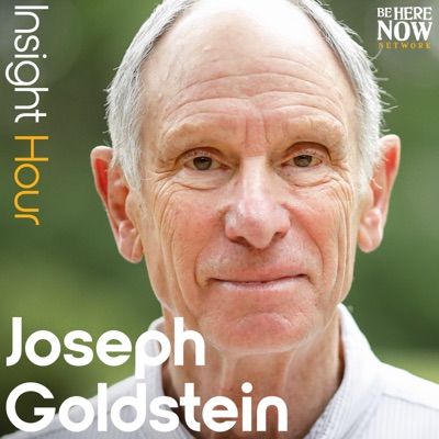 Insight Hour with Joseph Goldstein:Be Here Now Network