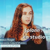 Trois ans de « Splann ! », enquête sur les haies en Bretagne... Juliette Cabaço Roger invitée de RBG