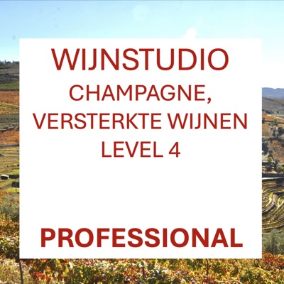 Wijn Professional – WSET level 4