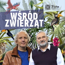 Wśród Zwierząt