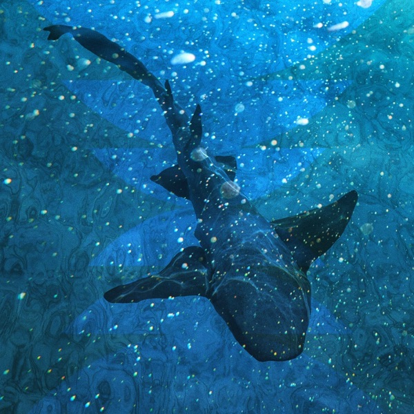 The Shark Inside You photo