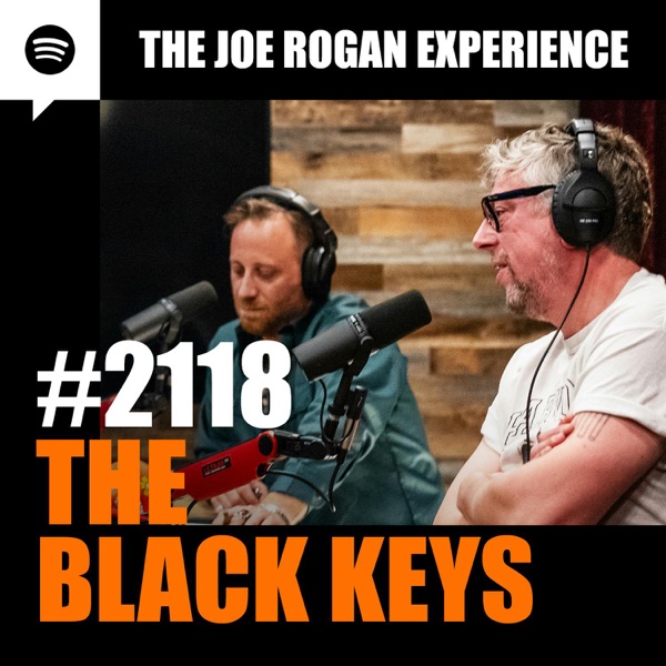 #2118 - The Black Keys photo