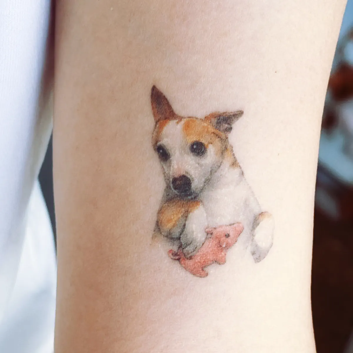 正在输入...... - 播客- Apple 播客, image size:1200x1200