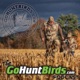 The GoHuntBirds.com Podcast