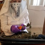 Freezer Stash 1: Sister Kate's Cannabis Devotion