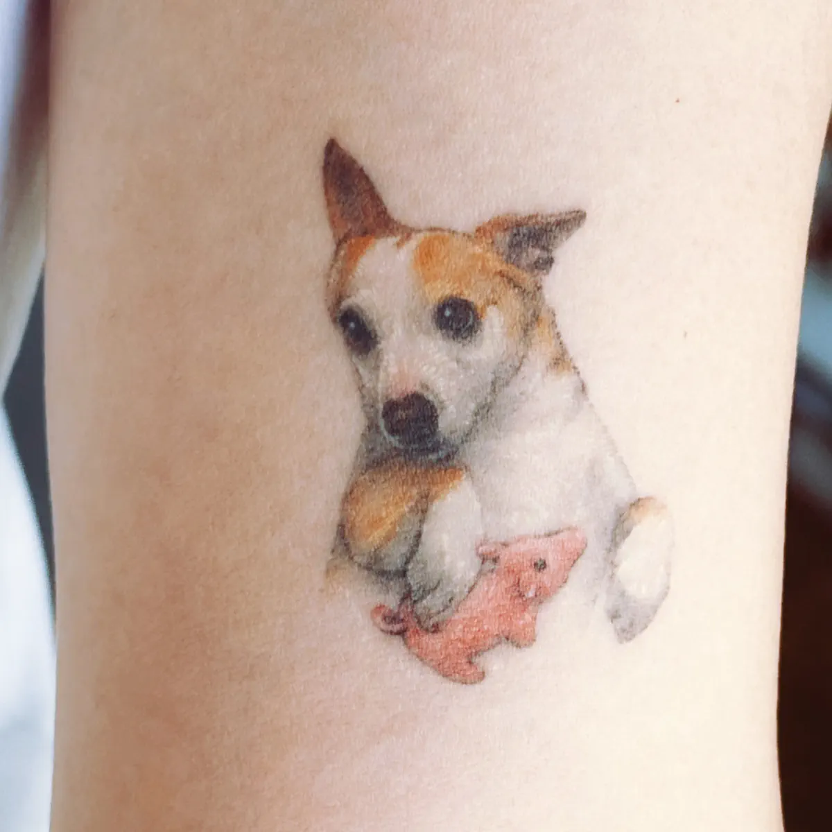 正在输入— Подкаст — Подкасты Apple, image size:1200x1200