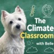 The Climate Classroom