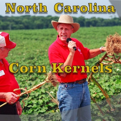 North Carolina Corn Kernels