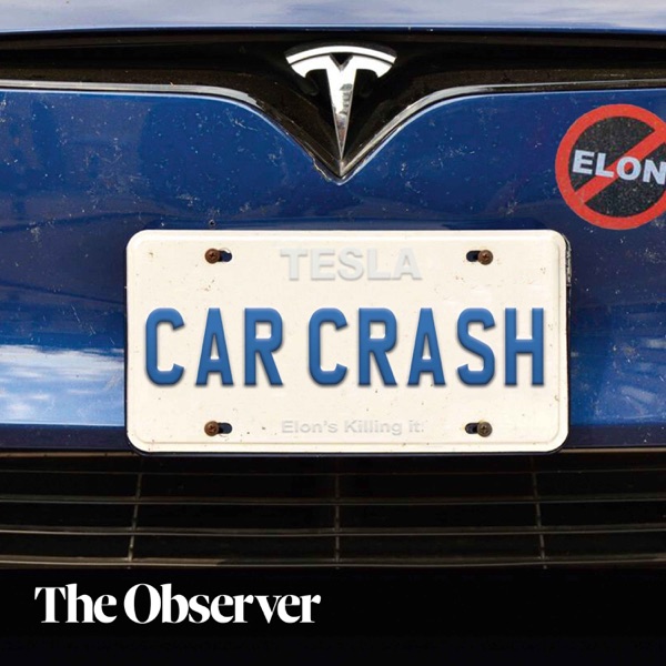 Car crash: Musk and Tesla photo