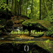 冥想正念 | 享受一小时的静谧安然(Ambient Music Mixtape)