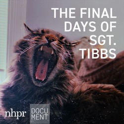 Introducing: The Final Days of Sgt. Tibbs