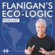 Flanigan's Eco-Logic