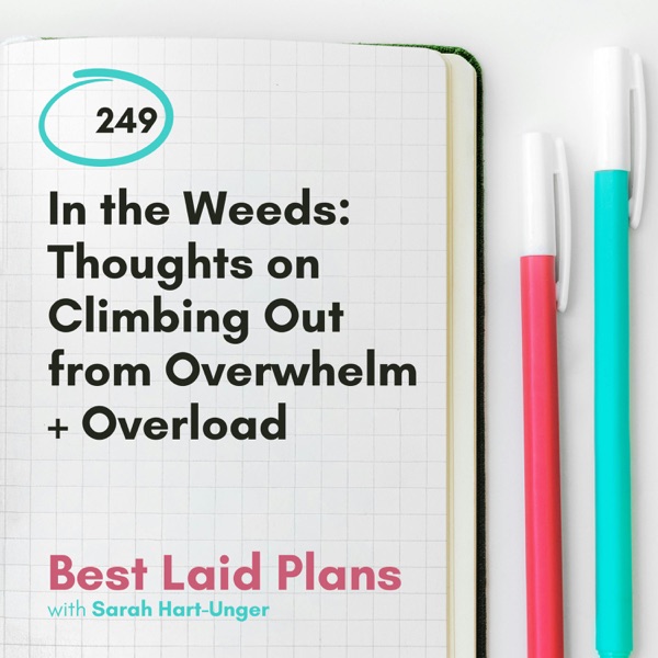 In the Weeds: Thoughts on Climbing Out from Overwhelm + Overload photo