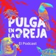 Pulga en la Oreja