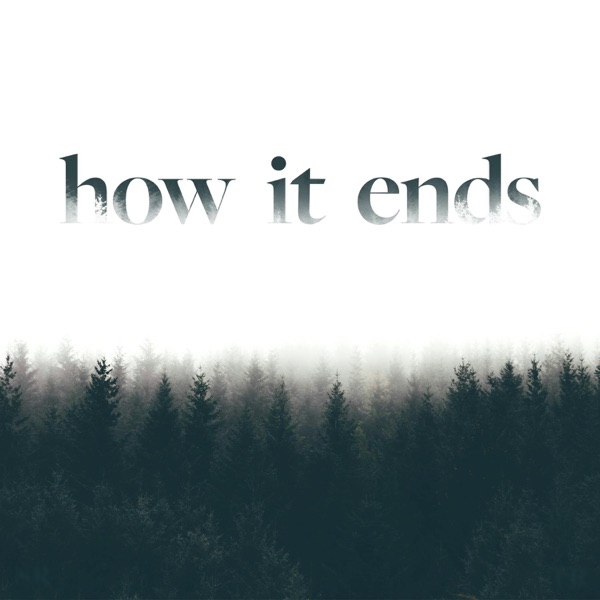 How it Ends image