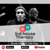 3rd House Therapy - Charlie Mingry