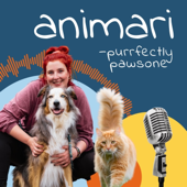 animari - purrfectly pawsome