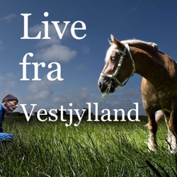 Skal staten købe Stauning Lufthavn, er vi bedst til våben i vest og 3 korte