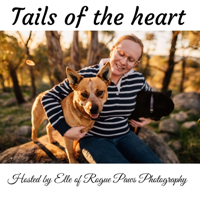 Steve Coleman-NSW RSPCA CEO