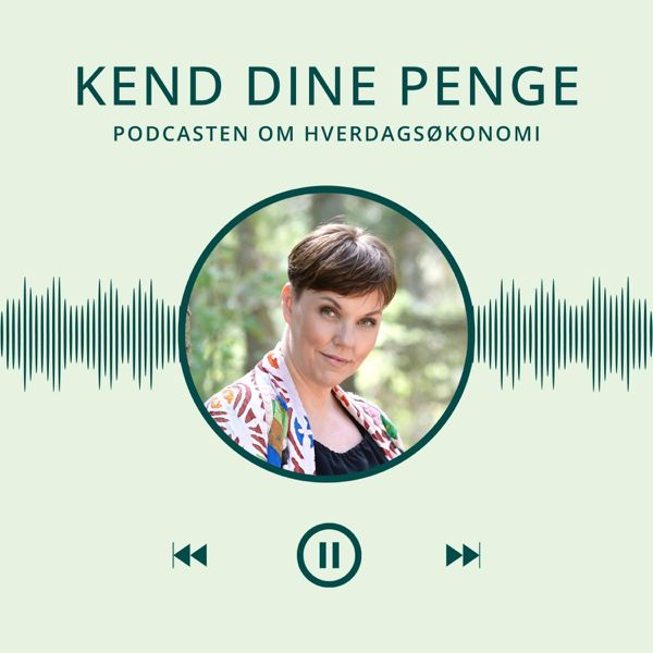 Kend Dine Penge af Carina Svendsen