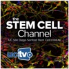 Stem Cell Channel (Audio)