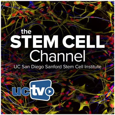 Stem Cell Channel (Audio) Stem Cell Channel (Audio)