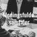 Meningsfulde Samtaler