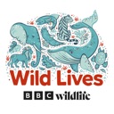 Wild Lives podcast artwork