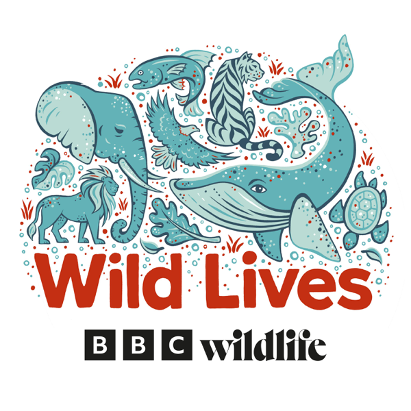 Wild Lives cover art