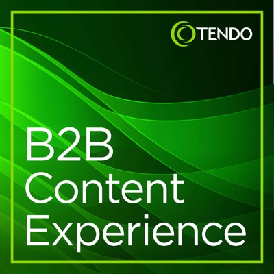 B2B Content Experience