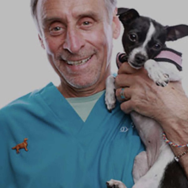 Advocating for Your Pet's Health with Dr. Marty Goldstein photo