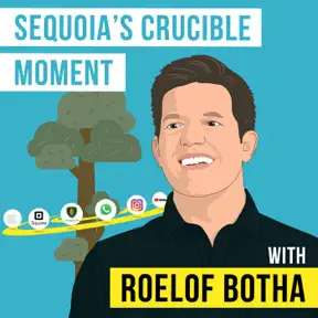 Roelof Botha - Sequoia’s Crucible Moment artwork