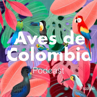 Aves de Colombia Aves de Colombia