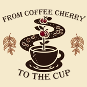 از گیلاس قهوه تا فنجان