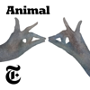 Animal - The New York Times