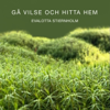 Gå vilse och hitta hem - Evalotta Stiernholm