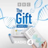 Bonus Episode: Searching