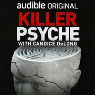 Killer Psyche artwork
