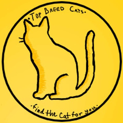 Top Breed cats